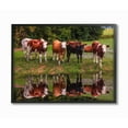 thumbnail image 2 of Stupell  A Line of Cows At The Water Vibrant Photography Framed Art, 11 x 14, Proudly Made in USA - Multi-Color 16 x 20, 2 of 2