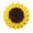 Yellow 1PCS, variant on Upgraded Sunflower Snuffle Mat 15