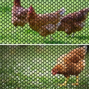 Bocaoying Plastic Chicken Wire Fencing, with 25 Twist Ties, 197 In Black Chicken Wire mesh, Poultry Netting, Poultry Fence, Chicken Wire for Crafts, Plastic Garden Fencing, Floral Chicken Wire