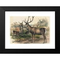 thumbnail image 2 of Joseph Wolf 18x14 Black Modern Framed Museum Art Print Titled - The Persian Deer (1861-1867), 2 of 5