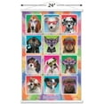 thumbnail image 2 of Keith Kimberlin - Chiots - Lunettes de soleil, 2 of 4