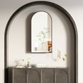 thumbnail image 5 of Hironpal Brushed Black Metal Framed Arched Medicine Cabinets with Mirror & Storage for Bathroom, Living Room, Not Recessed,16" x 31", 5 of 7