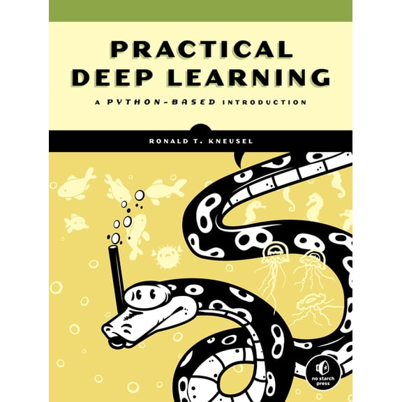 Practical Deep Learning: A Python-Based Introduction, (Paperback)