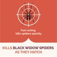 thumbnail image 4 of Hot Shot Spider & Scorpion Killer Aerosol Spray, 16 Ounces, 4 of 5