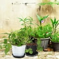 thumbnail image 4 of 16 Pcs Pp Planter Tray Drainage Trays for Plants Flower Pot Household Drip Faceplate, 4 of 6