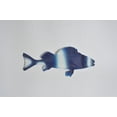 thumbnail image 3 of Americanflat Three Metal Fish Wall Decor Set - 3 X 9.5" Fish as Outdoor Metal Wall Art Decroations - Modern Style Wall Hanging Decor for Patio, Garden - Metal Indoor Wall Art, 3 of 5