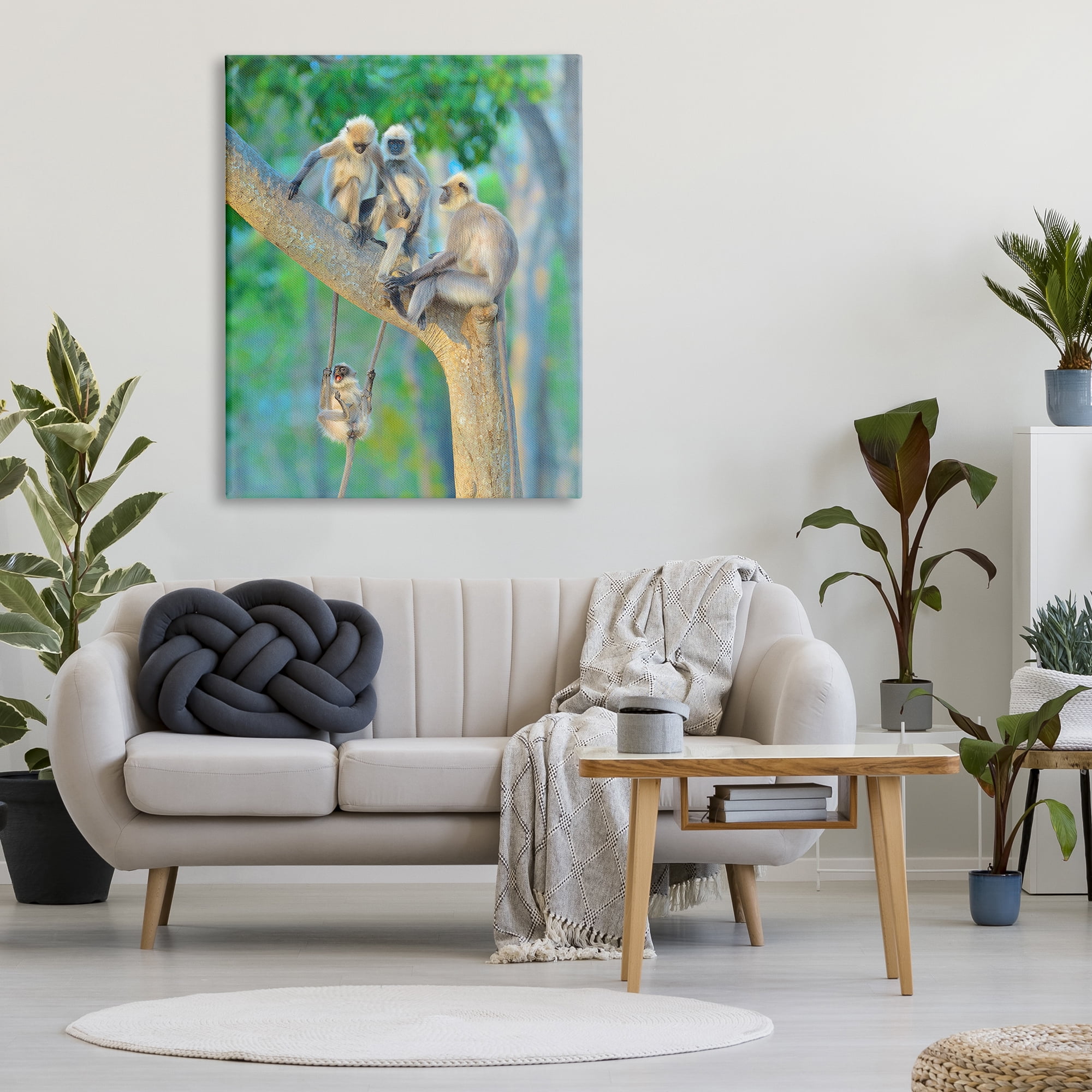 Stupell Industries Fun Playing Monkeys Animals & Insects Photography Gallery Wrapped Canvas Art Print Wall Art, 36 x 48