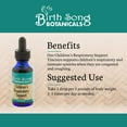 thumbnail image 7 of Birth Song Botanicals Children's Elderberry Respiratory Support Tincture, Herbal Immune Support, 1 oz, 7 of 7