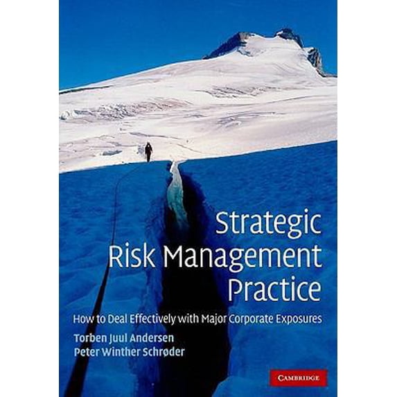 Pre-Owned Strategic Risk Management Practice (Paperback) 0521132150 9780521132152