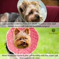 thumbnail image 6 of SunGrow Post-Surgery Soft Cone Dog & Cat Recovery Collar, Pink, Medium, 6 of 11