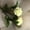 Green, variant on Artificial Flowers Wedding Decor Home Floral Arrangement Single Multi-Color Plastic Artificial Rose Stem, Weather Resistant Bendable Bloom for Garden Patio Wedding Home Vase Decor