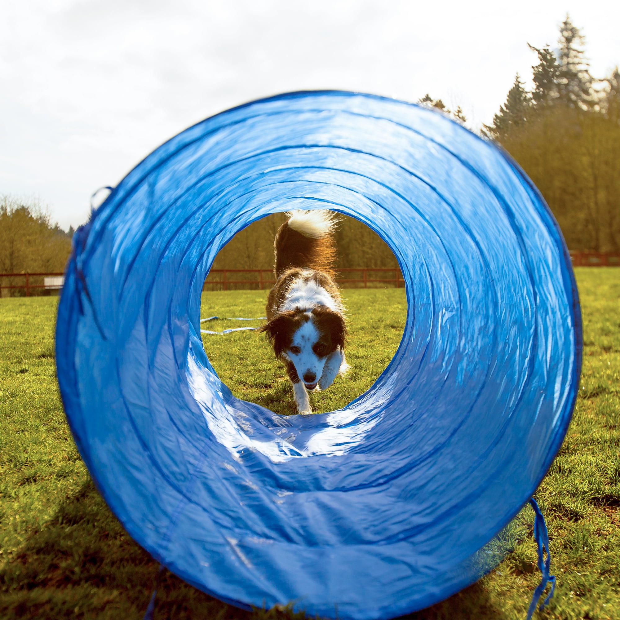 cheering pet dog agility equipment obstacle course dog tunnel