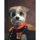 thumbnail image 1 of Taladro Pintura Diamante (DE5776) DIY 5D Mosaico Royal Pet Dogs Kit Redondo Completo (B535) 40x50cm Hugtrwg Para estrenar, 1 of 1