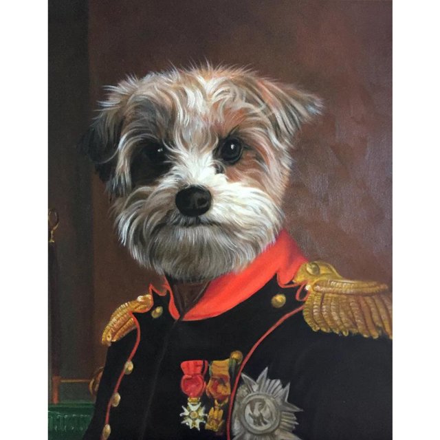 Taladro Pintura Diamante (DE5776) DIY 5D Mosaico Royal Pet Dogs Kit Redondo Completo (B535) 30x40cm Hugtrwg Para estrenar