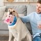 thumbnail image 4 of Active Moving Pet Plush Toy, Interactive Dog Toy, Talking Movable Dog Toy, Electronic Dog Toy, Bounce Boredom Toy For Cats And Dogs, 4 of 6