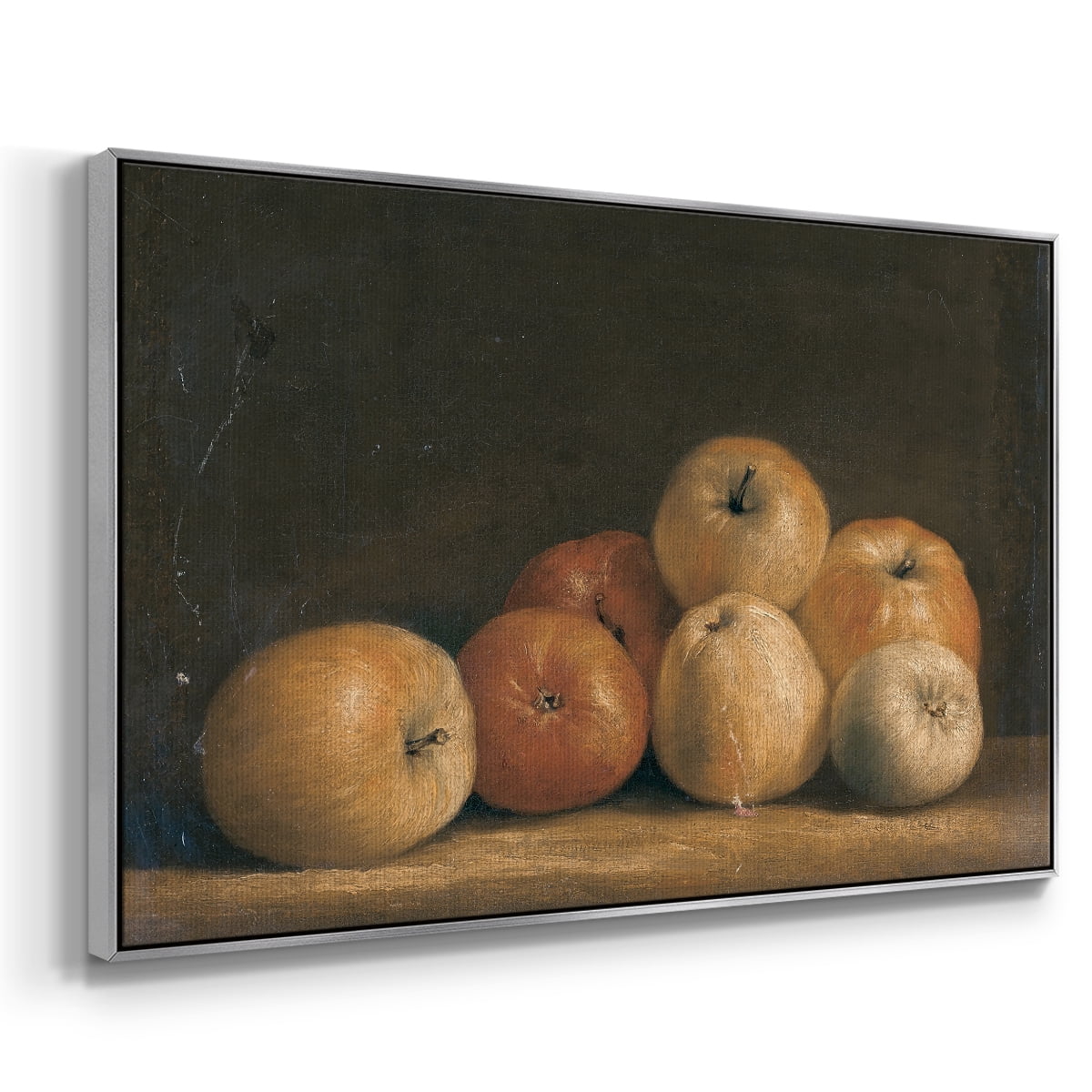 Vintage Botanical Print-LXXVIII By Wexford Home Framed in Silver Wood Gallery Wrapped Canvas 25 in. x 37 in.