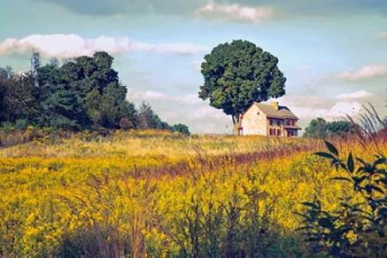House On A Hill Can