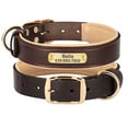 thumbnail image 2 of Didog Personalized Genuine Leather Padded Dog Collars Engraved Nameplate with D ring, 2 of 9