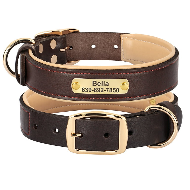 Didog Personalized Genuine Leather Padded Dog Collars Engraved