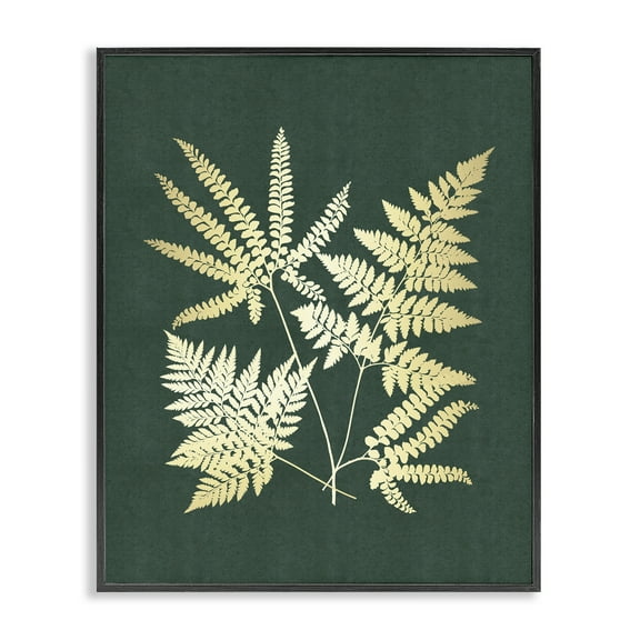 Stupell Industries Gilded Fern Leaves Plants & Flowers Painting Black Framed Art Print Wall Art, 11 x 14