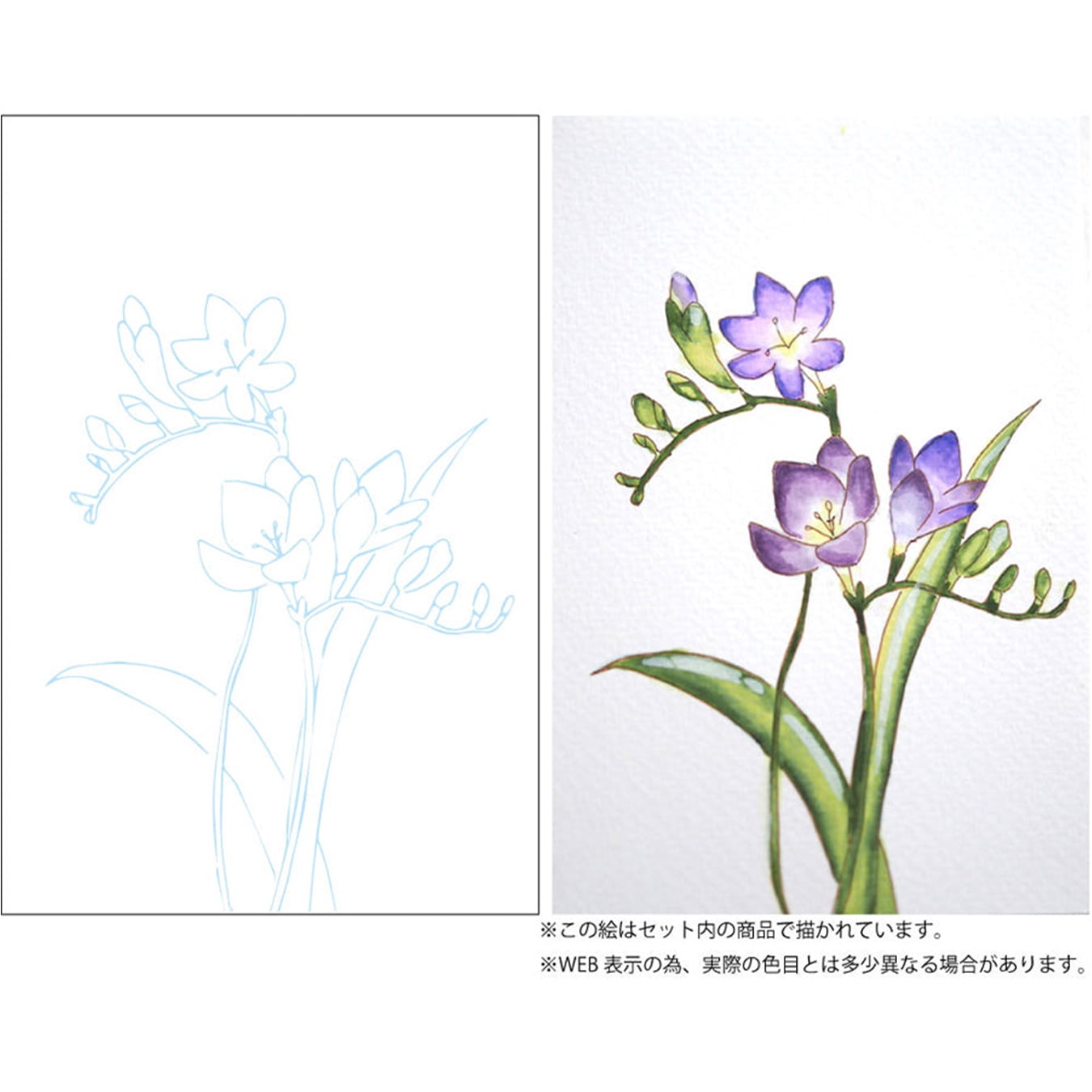 Kuretake ZIG Historic Watercolor 6 Color set- Flower Gradation