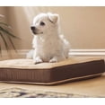 thumbnail image 2 of Cojín para Cama de Perro New Age Pet Pequeño con Funda Removible, 2 of 7