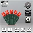 thumbnail image 4 of 70 Red 5mm LED Christmas Lights, Outdoor String Lights, Christmas Decoration, Green Wire, 24' Length 4" Spacing, 4 of 7