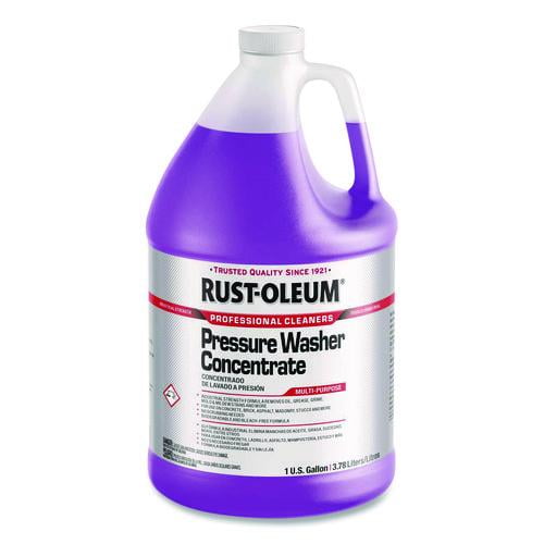 Professional Pressure Washer Concentrate Multi-Purpose, 1 gal Jug, 4/Carton | Bundle of 2