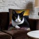 thumbnail image 5 of Uuiauoio Cat Pillow Covers 18x18, Cats Lovers Lady Gifts, Cat Gifts for Mom Mother's Day, Cats Decorative Pillow Covers for Home Bedroom Living Room Office Decor, 5 of 6