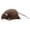 Brown, variant on katior Rat Stuffed Animals Mouse Plush Toys Soft Cuddly Stuffed Mouse Realistic Rat Plushies for Birthday Prank Props April Fools Tricks