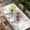 White, variant on Gnomes Easter Table Cloths for 8 Foot Rectangle Tables, Colorful Spring Floral Weeping Eggs Retro Art Patio Waterproof Elastic Fitted Tablecloths, Washable Rectangular Table Cover for Camping