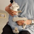 thumbnail image 3 of Versatile Pet Backpack for Small and Medium Dogs and Cats Soft Hands-Free Strap Comfortable Breathable Design Secure Outdoor Travel, 3 of 5