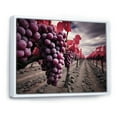 thumbnail image 2 of Designart "France Bordeaux Vineyard Euphony II" Vineyard Floater Framed Wall Art Living Room, 2 of 7