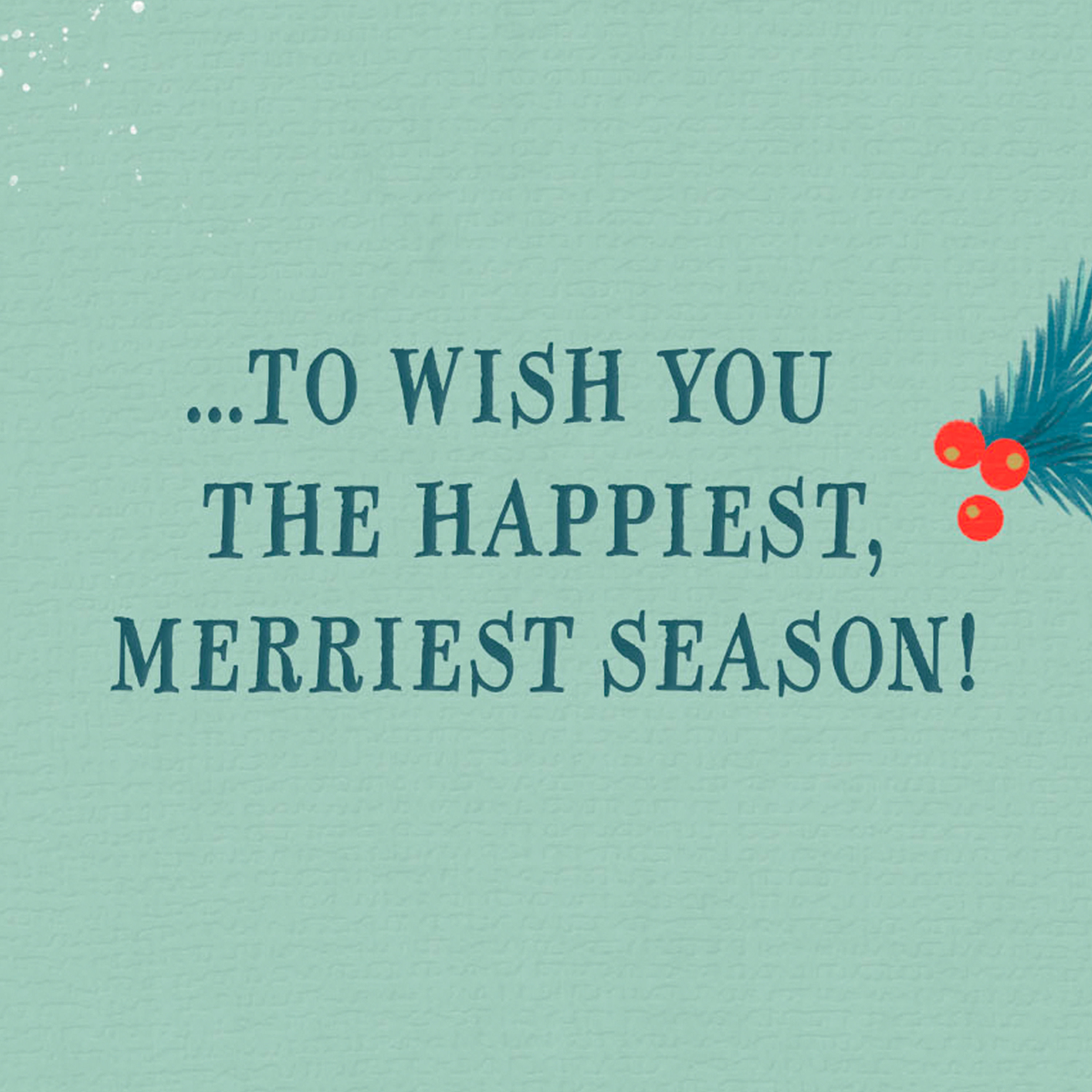 Hallmark Christmas Greeting Card (You're Ever So Nice Santa and Snow)
