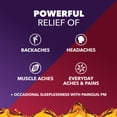 thumbnail image 6 of Vicks PainQuil Pain Relief and Nighttime Sleep Aid Liquids, Acetaminophen 1000mg, Honey, 2x12oz, 6 of 11