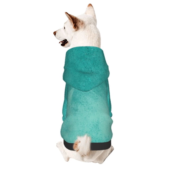 Fotbe Teal Turquoise1 Sudadera con Estampado para Perros Pequeños – Suéter con Capucha para Mascotas, Tela Suave de Forro Polar con Bolsillo-Large