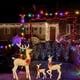 thumbnail image 4 of Ciervo iluminado por Navidad Reno iluminado por LED Navidad para decoración navideña Adorno de reno iluminado Decoración navideña al aire libre (M), 4 of 5