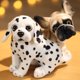 thumbnail image 4 of Pug Miguel Bulldog de pie realista, juguetes de peluche de 18cm, muñecos de animales de peluche suaves, regalos de cumpleaños y Navidad para niños, 4 of 5