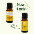 thumbnail image 6 of Plant Therapy Immune Aid Essential Oil Blend 10 mL (1/3 oz) 100% Pure, Undiluted, Therapeutic Grade, 6 of 9
