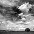 thumbnail image 3 of Palacios, J.A. 15x15 Black Modern Framed Museum Art Print Titled - Black and white field 841, 3 of 5