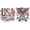 2PCS-2, variant on FLOPESN DIY  Diamond Artwork  USA pattern  the 250th Anniversary  Ornament, 9.84*9.84 inch, Acrylic Material Irregular Shape Desk Decor