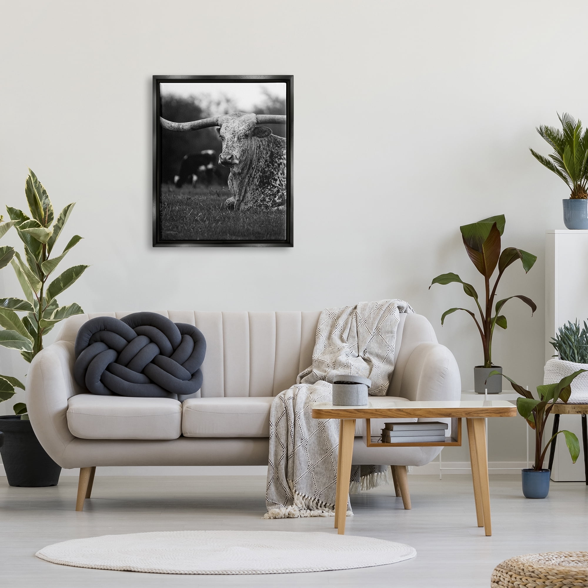 Stupell Industries Resting Longhorn Photography Animals & Insects Photography Black Floater Framed Canvas Art Print Wall Art, 25 x 31