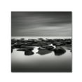 thumbnail image 2 of Trademark Fine Art "High Tide" Canvas Art by Dave MacVicar, 2 of 4