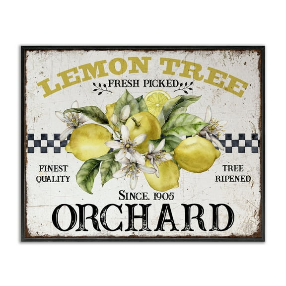 Stupell Industries Lemon Tree Fresh Picked Food & Beverage Painting Black Framed Art Print Wall Art, 14 x 11