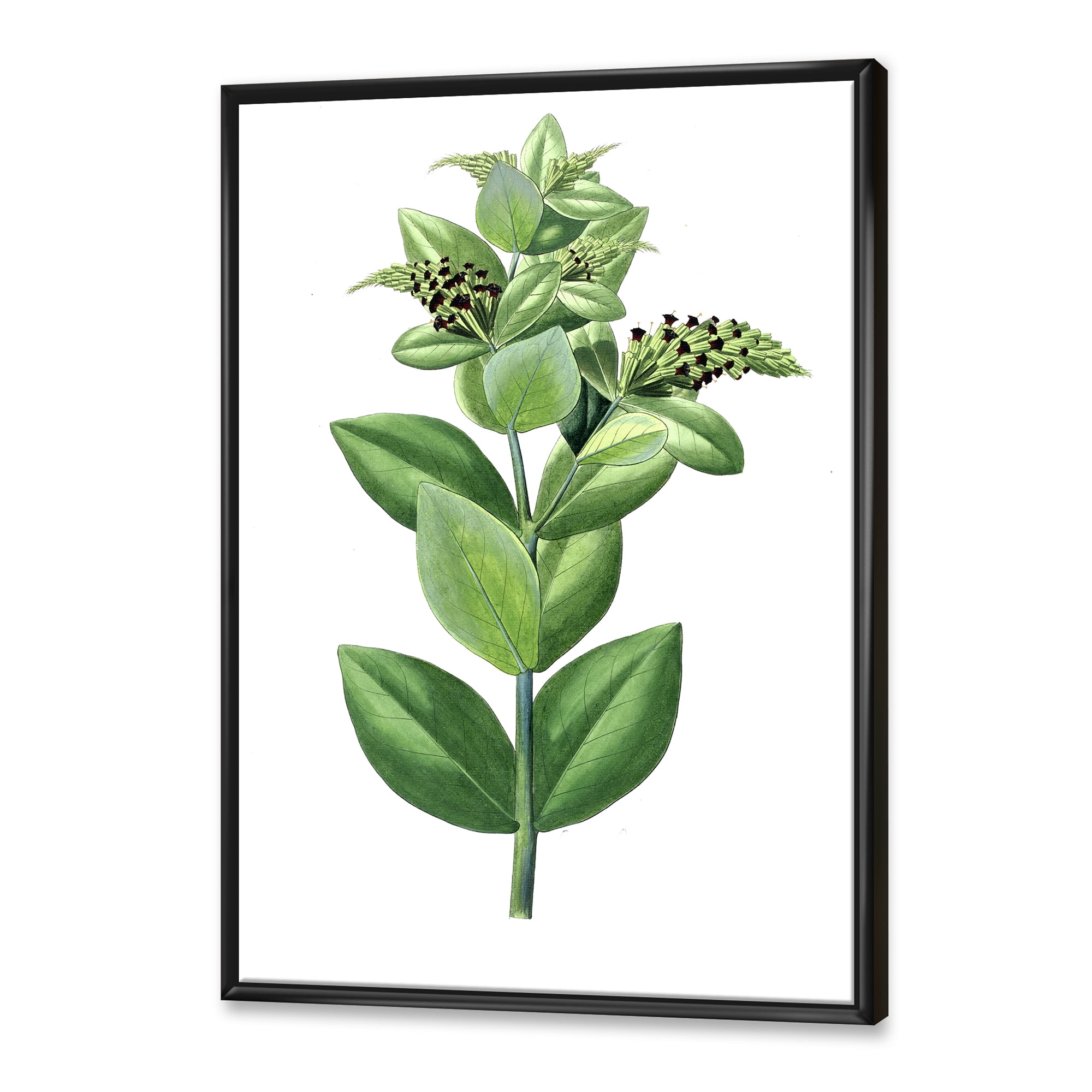 Designart 'Ancient Green Leaves Plants VI' Traditional Framed Canvas Wall Art Print