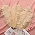 thumbnail image 4 of 24 Piezas Plumas de Avestruz NQ Blancas Naturales 25-30 cm para Decoración de Bodas, 4 of 4