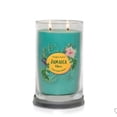 thumbnail image 2 of Yankee Candle Jamaica Vibes, Caribbean Collection 20 Oz 2-Wick Tumbler Candle, Tropical Palm & Patchouli Scent, 2 of 3