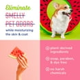 thumbnail image 4 of Naturel Promise Fresh & Soothing Deep Cleaning Sweet Summer Dog Shampoo, 22oz Bottle, 4 of 8