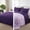 Deep Purple/ Lilac, variant on Lightweight Reversible King Size Comforter Set, Down Alternative Comforter with 2 Pillow Sham, King Size Bedding Set for All Seasons, Emerald/Mint