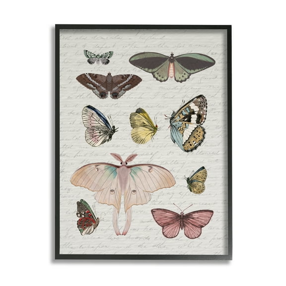Stupell Industries Moths & Butterflies Vintage Animals & Insects Painting Black Framed Art Print Wall Art, 11 x 14